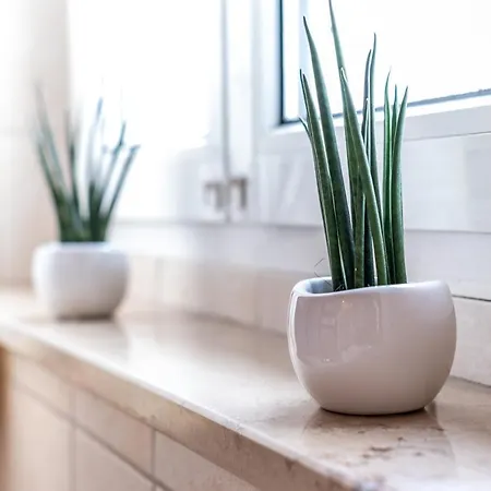 Cruwzo I With Balcony, Garden And Terrace בית נופש